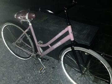 Giant single 4u dames fiets roze