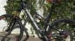 Intense Spider 275 carbon Large