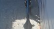 Mountainbike Liv Tempt 0 (2020)