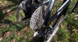 Z.G.O.H 29er KTM Myroon frame maat (M)