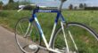 Peugeot Festina 54 (fixie/stadscruiser )
