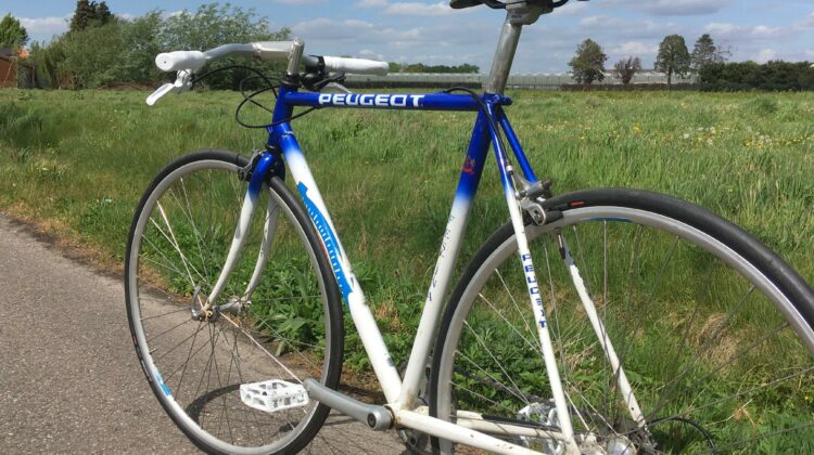 Peugeot Festina 54 (fixie/stadscruiser )