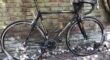 Gazelle Goldline