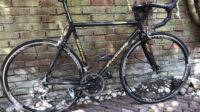 Gazelle Goldline
