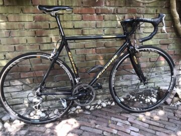 Gazelle Goldline