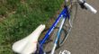 Peugeot Festina 54 (fixie/stadscruiser )