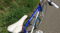 Peugeot Festina 54 (fixie/stadscruiser )