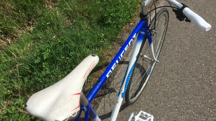 Peugeot Festina 54 (fixie/stadscruiser )