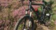 Santos SC 03 MTB Rohloff Gates riem maat 57