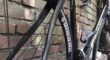 Gazelle Goldline