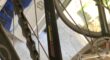 Prachtige racefiets te koop