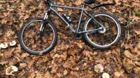Santos SC 03 MTB Rohloff Gates riem maat 57