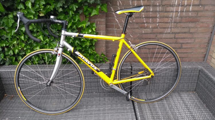 Degelijke Batavus RR Equipe