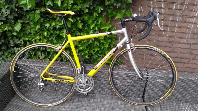 Degelijke Batavus RR Equipe