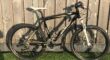 Koga XSport MTB