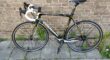 racefiets Colnago