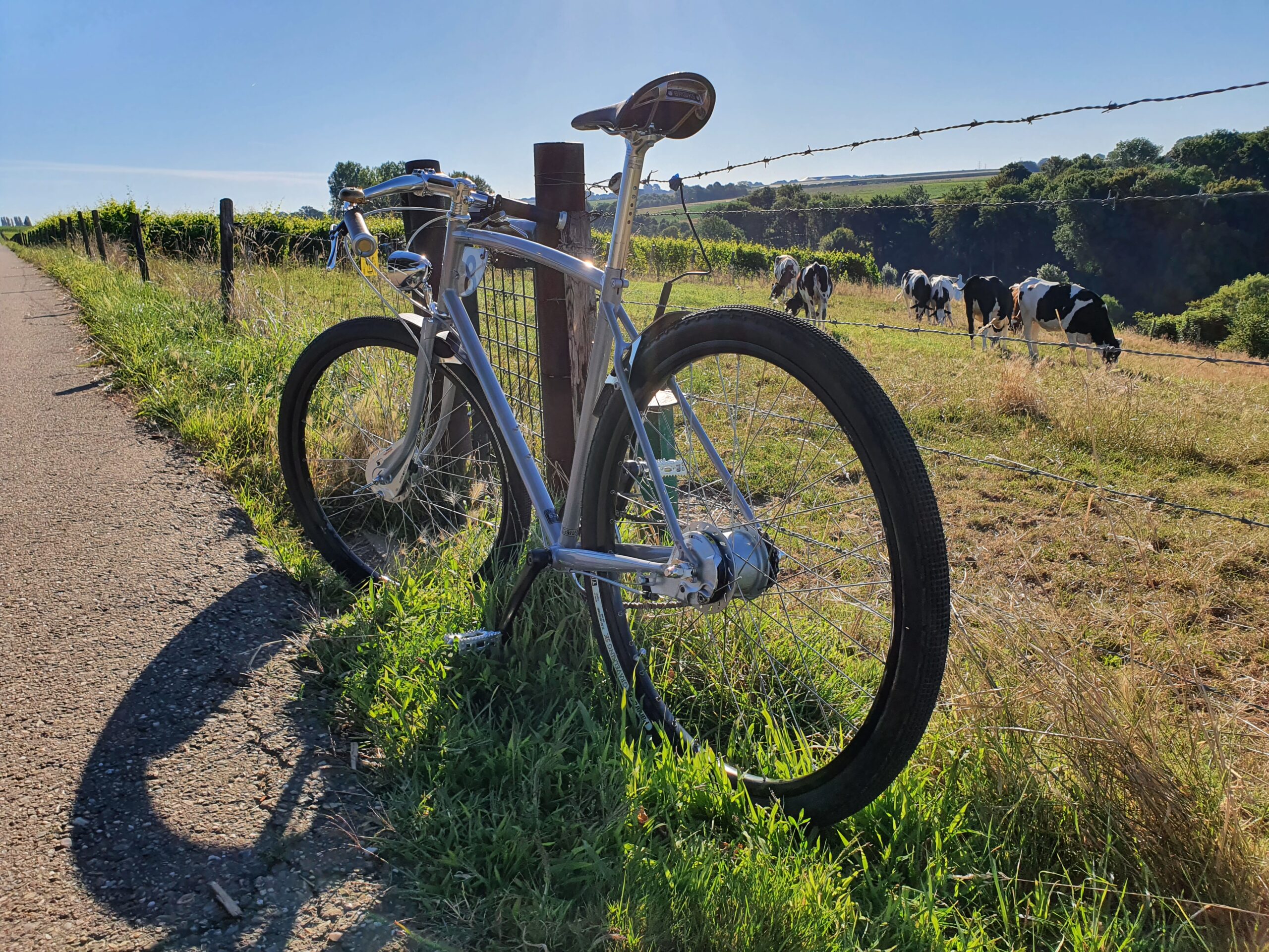 Pashley discount morgan 8