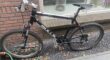 Bulls King Cobra XC sport.