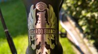 Bianchi Pico Crono TT Carbon