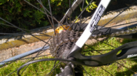 Bianchi Pico Crono TT Carbon