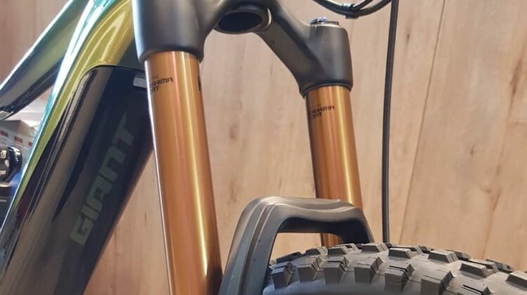2020 GIANT REIGN E+ 0 PRO