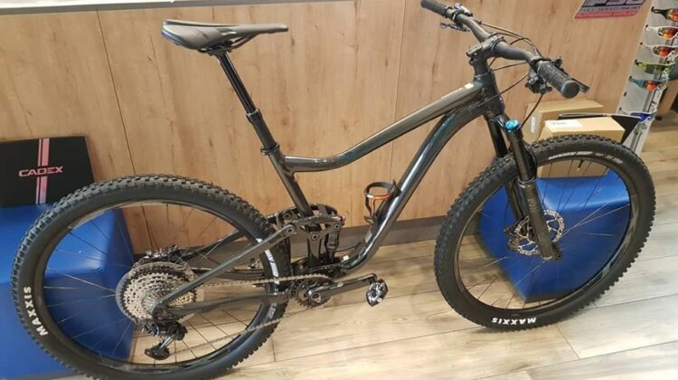 2020 Giant Trance 29 1