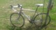 Fuji Newest 1.0