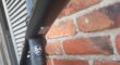 Racefiets Specialized
