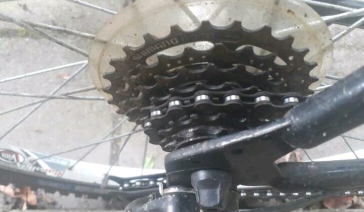 Giant track
