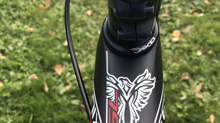 Superlichte klimfiets Ridley Fenix Sl .