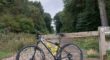 CANYON EXCEED CF SL 8.0 2020 MEDIUM