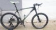 cannondale flash