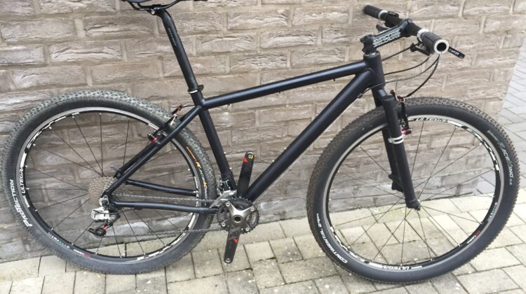 Mtb/gravel/beachbike 29 Prowinner Large