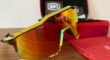 Speedcraft Chromium Red Peter Sagan Limited Edition – HIPER Lens