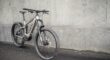 Trek powerfly Lt 9 plus