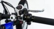 Fatbike Electrisch