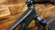2020 SPECIALIZED STUMPJUMPER EVO PRO CARBON 29