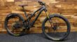 2020 SPECIALIZED STUMPJUMPER EVO PRO CARBON 29