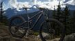 2019 trek fuel ex 8 29″ mtb