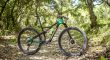 2021 CANNONDALE SCALPEL HM 1 MOUNTAIN BIKE