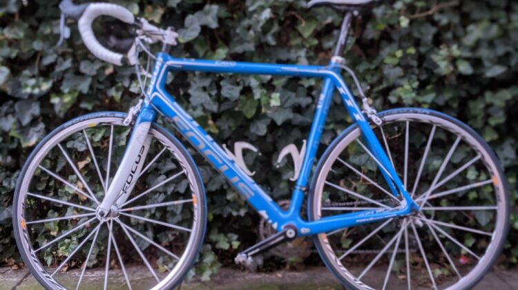 Focus Cayo full carbon 60cm