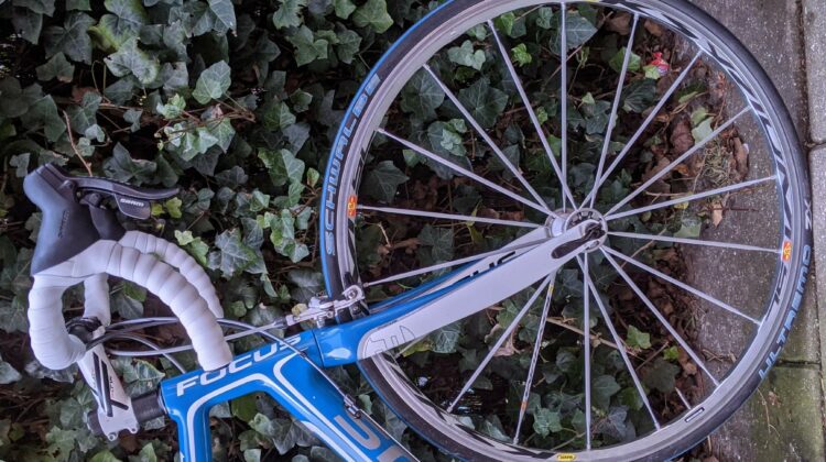 Focus Cayo full carbon 60cm