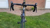 Wilier tristiena cento air 1| maat L| Ultegra| Carbon