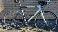 Willier Mortirolo Wit/zwart