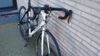 Willier Mortirolo Wit/zwart