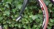 Racefiets / wielrenfiets (dames of kleine heren)