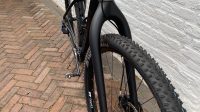 ATB hardtail carbon 29er