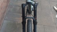 Canyon Torque CF 7