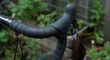 Trek / Gary Fisher Cronus Ultimate / carbon / sram red/wattagemeter