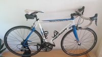 Merida Scultura Evo 905